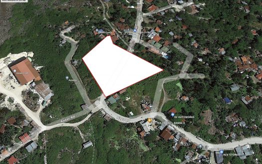 Commercial property near CCLEX 4,583 sq.m. Babag Lapu Lapu Raw Lot