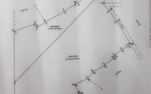 Raw Lot in Carcar City (Raw lot) 22.042 SQM