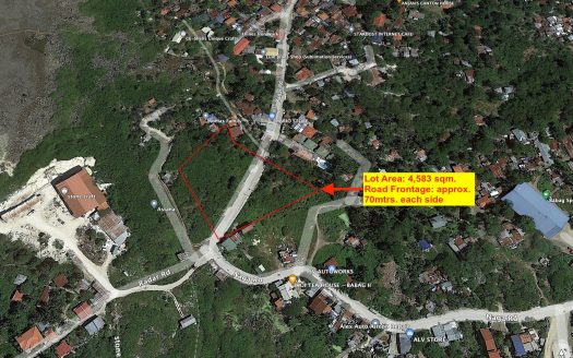 Commercial property near CCLEX 4,583 sq.m. Babag Lapu Lapu Raw Lot
