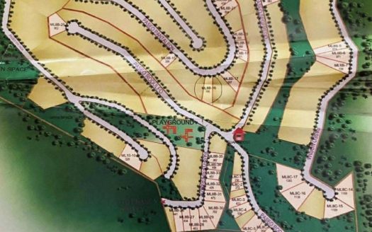 Prime Residential Lot in Ma. Luisa Estate, Cebu City (LOT ONLY)