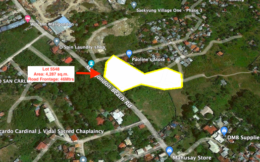 Prime 4,287 SQ.M. Property for Sale in Babag, Lapu-Lapu City